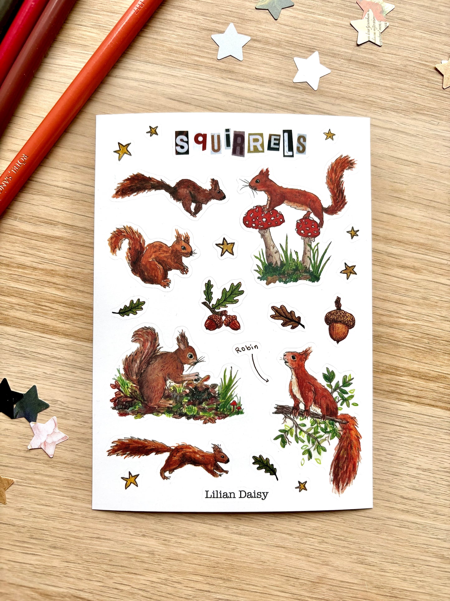 Daisy Mail (Postcard and Stickers)