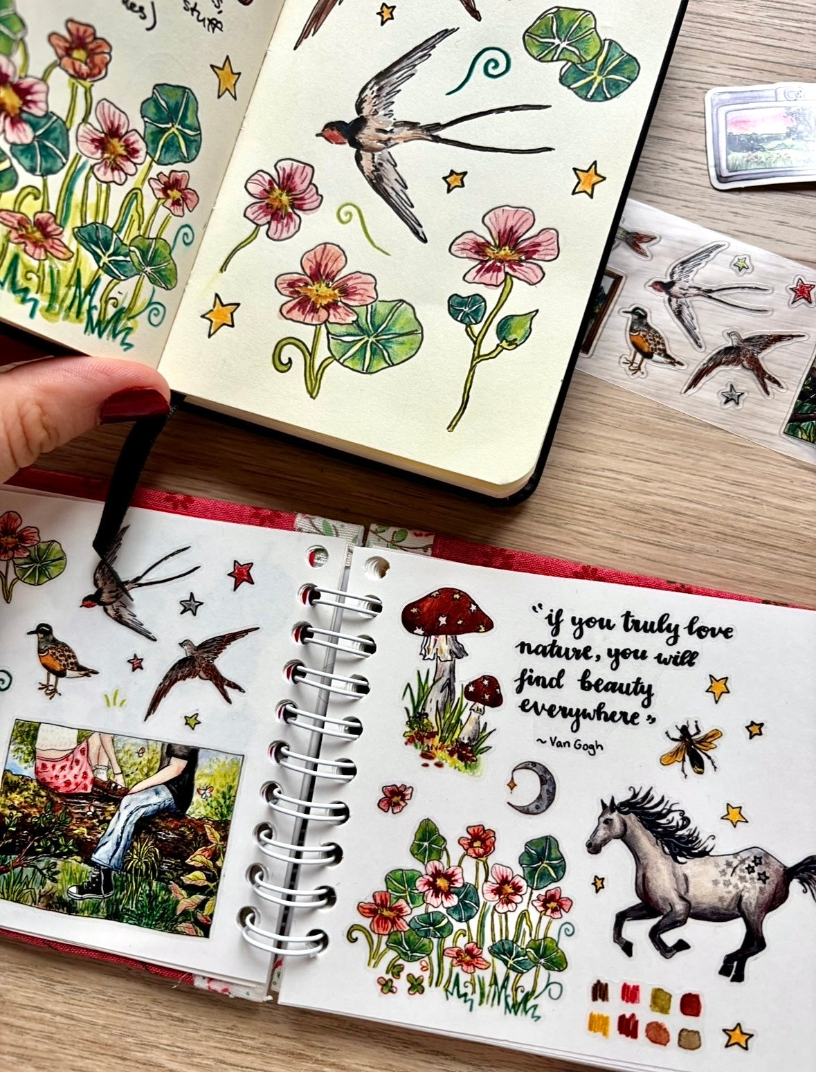 "Exploring" PET Stickers