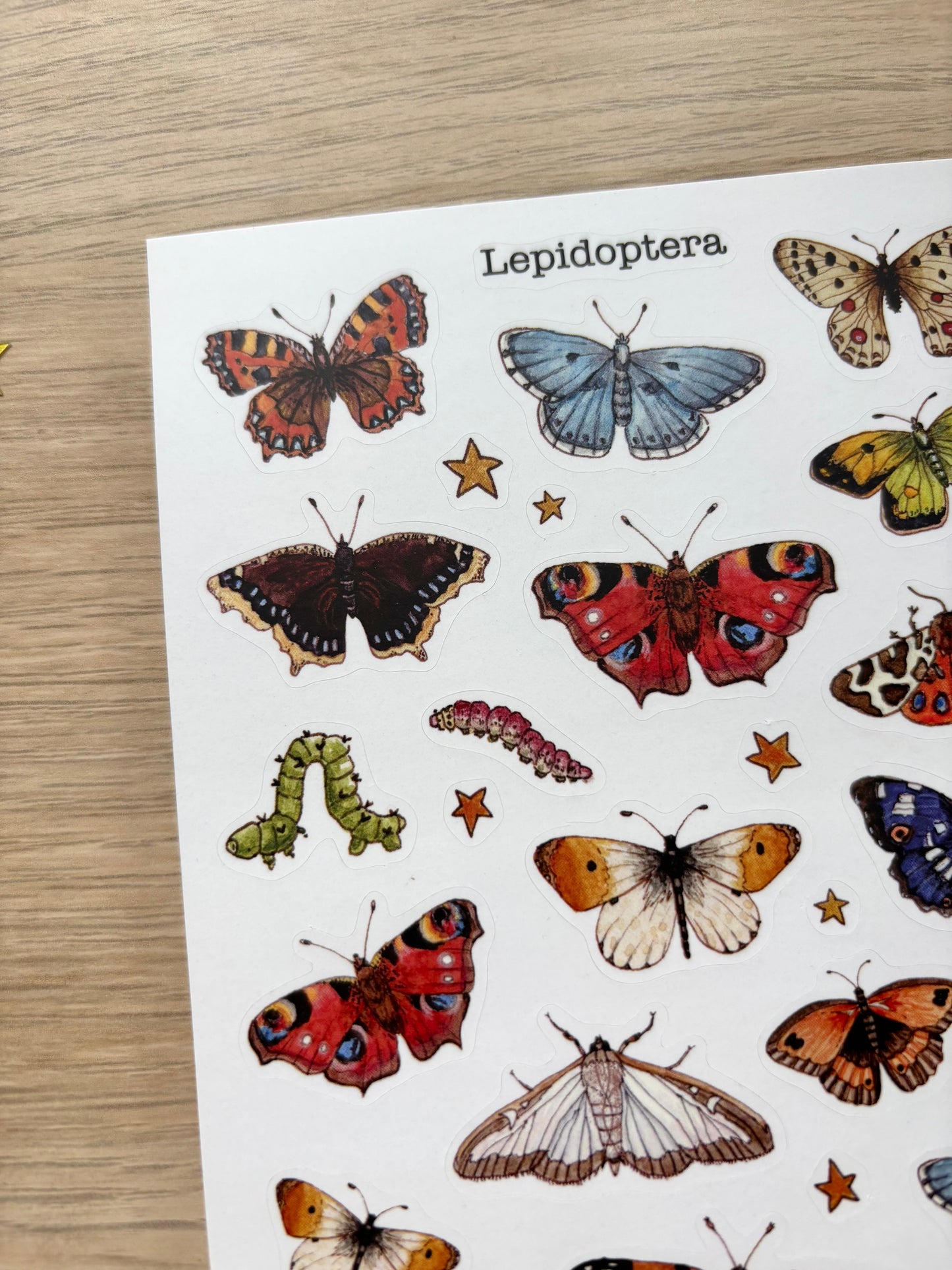 "Lepidoptera" Sticker Sheet
