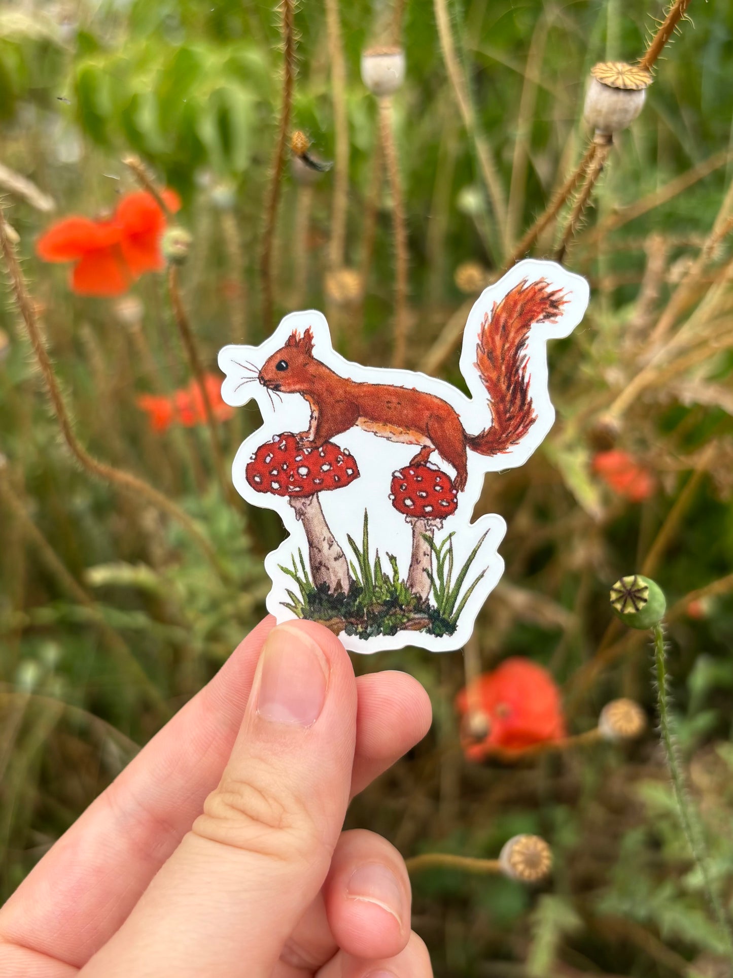 "Mushroom Squirrel" Vinyl Sticker
