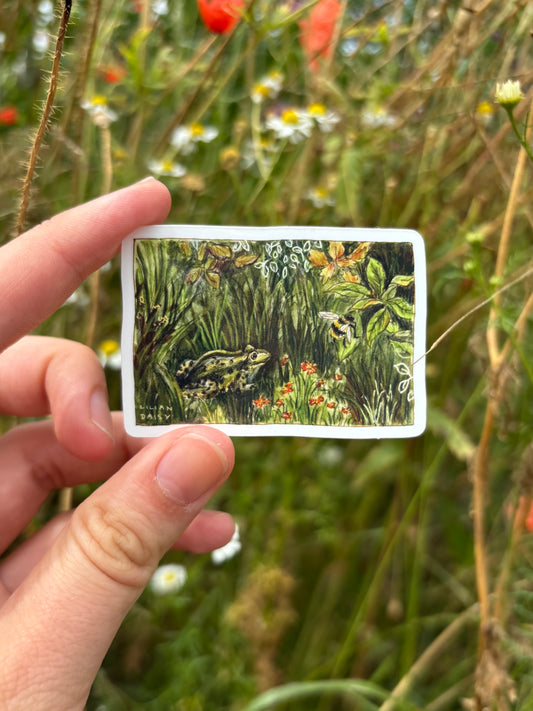 "Frog" Vinyl Sticker