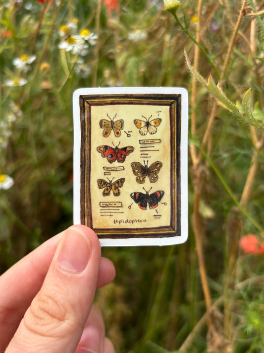 "Framed Butterflies" Vinyl Sticker