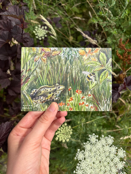 "Frog" A6 Postcard Print