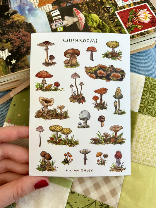 "Mushrooms" Sticker Sheet