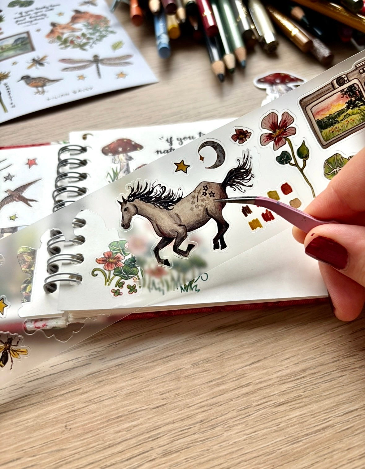 "Exploring" PET Stickers