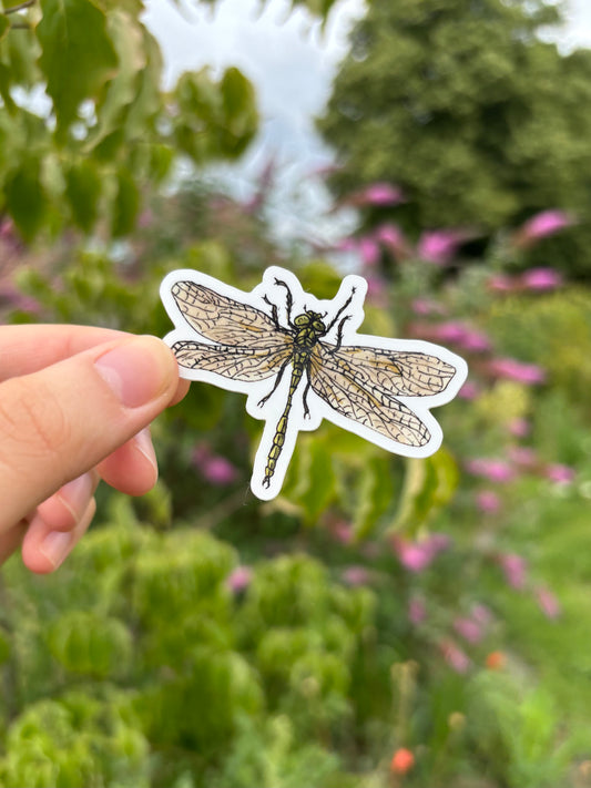 "Dragonfly" Vinyl Sticker
