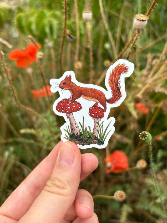 "Mushroom Squirrel" Vinyl Sticker